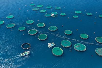 A rising tide, but growing risks: Ocean economy faces pressure and fragmentation